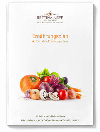 Ernährungsplan